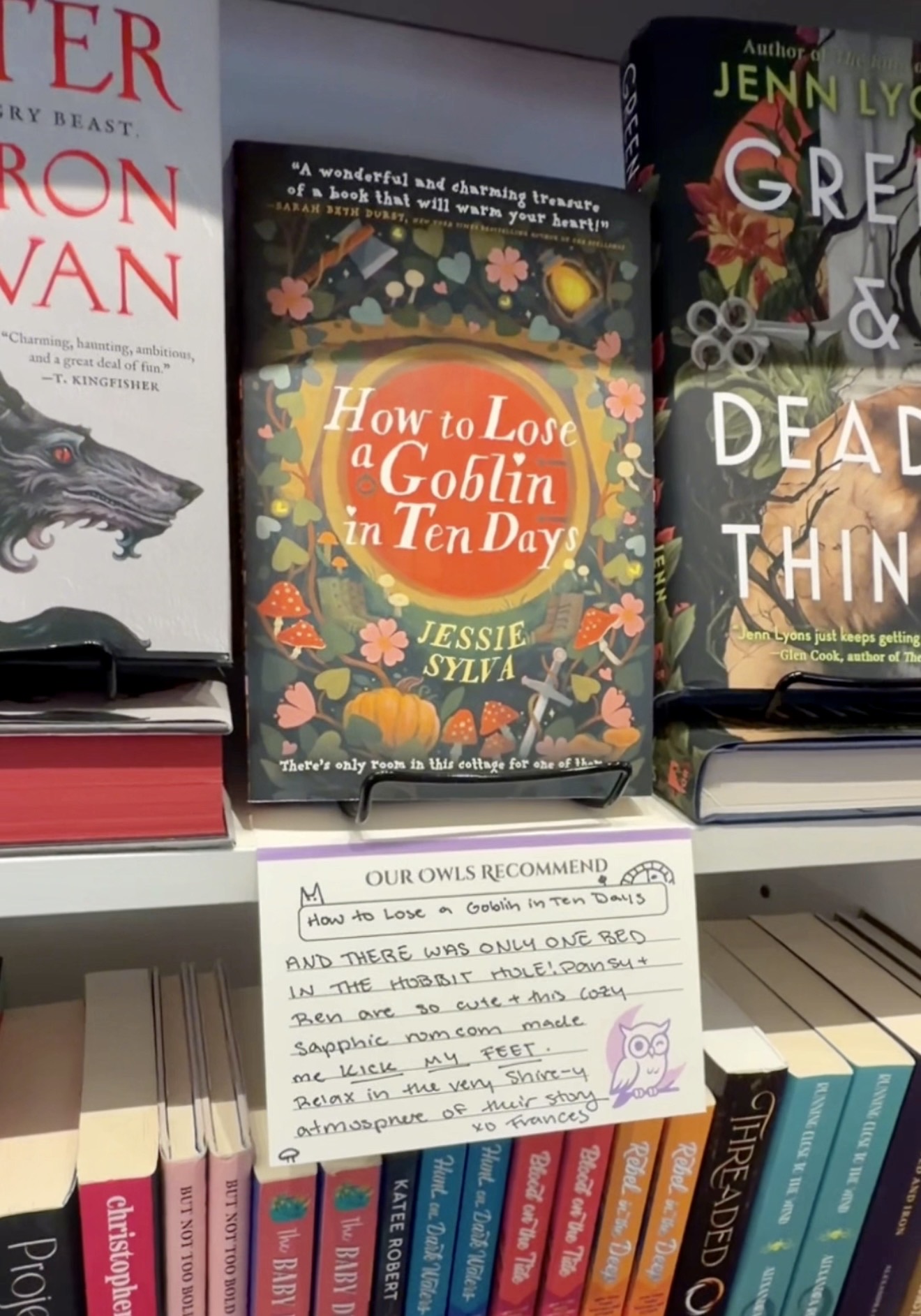 Blinking Owl Books Local Review 